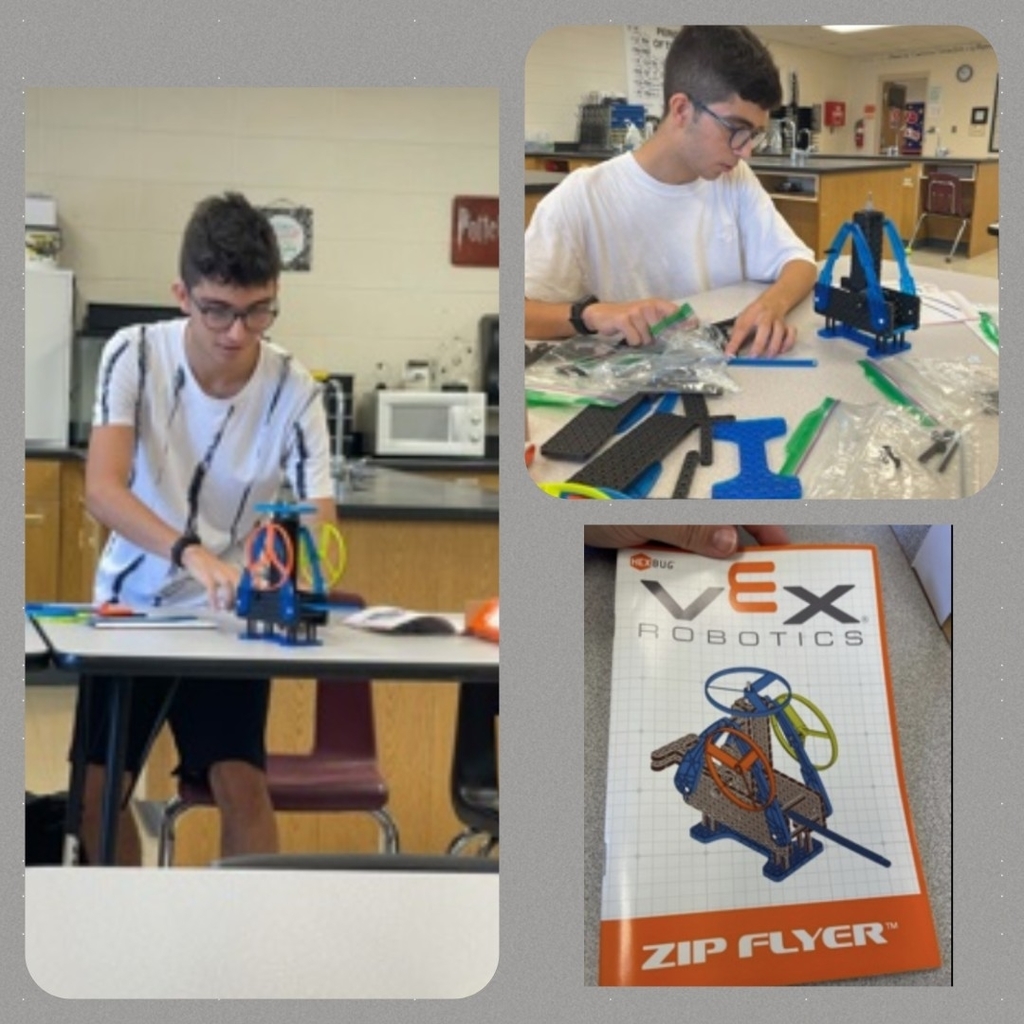 zip flyer
